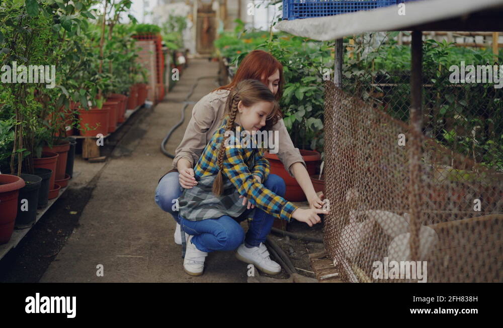Greenhouse worker and her excited daughter are playing with rabbits in