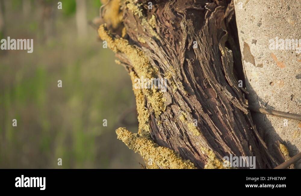 Concrete culture Stock Videos & Footage HD and 4K Video Clips Alamy