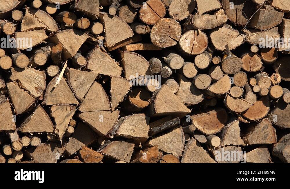 Natural wood shapes Stock Videos & Footage HD and 4K Video Clips Alamy