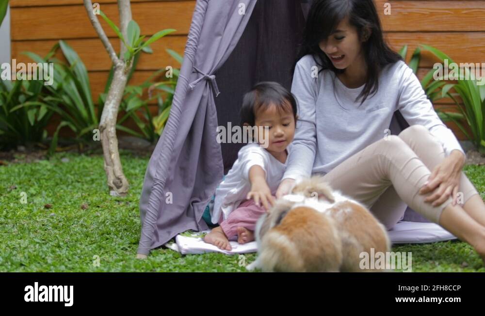 Mum rabbit Stock Videos & Footage - HD and 4K Video Clips - Alamy