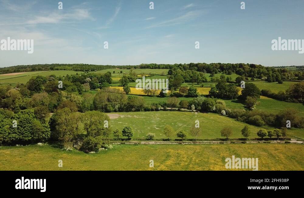 Cotswold flowers Stock Videos & Footage HD and 4K Video Clips Alamy