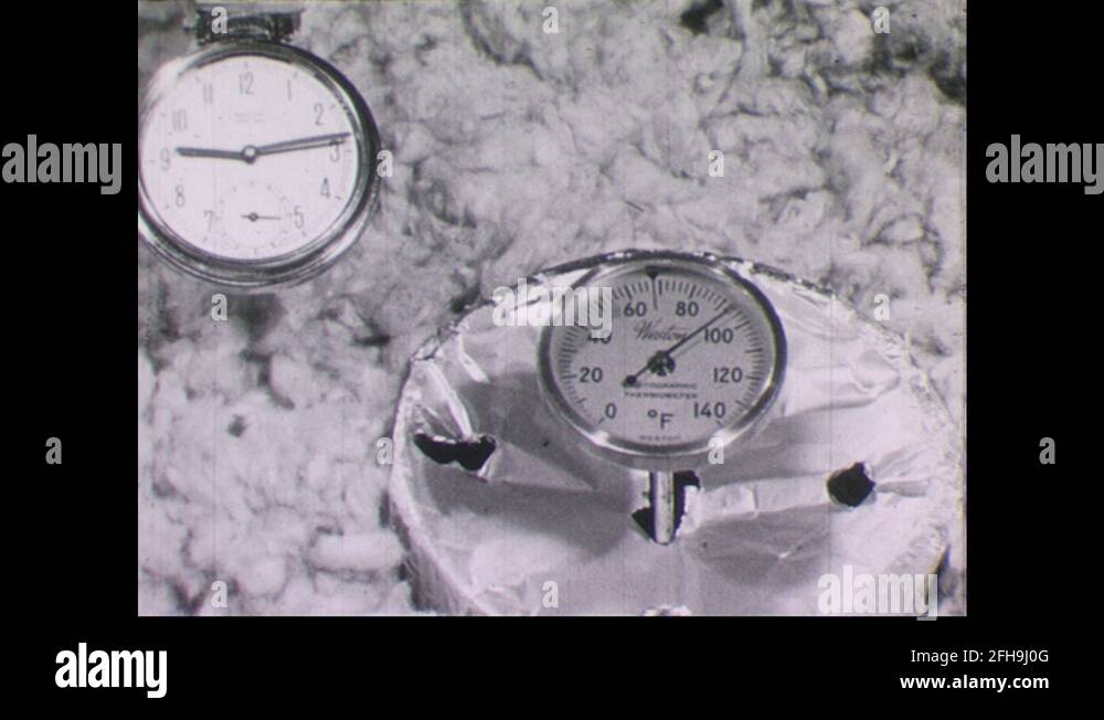 Linseed oil Stock Videos & Footage HD and 4K Video Clips Alamy