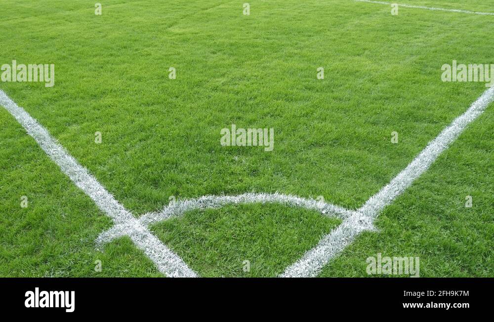 Tilt down to corner of soccer field. Fresh white paint lines on pitch Stock Video Footage Alamy