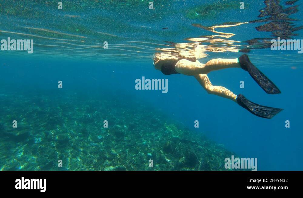 Female snorkeling underwater in clear blue ocean Fiji Stock Video