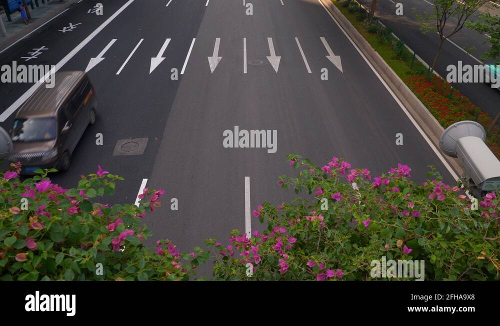 Flower bridge Stock Videos & Footage HD and 4K Video Clips Alamy