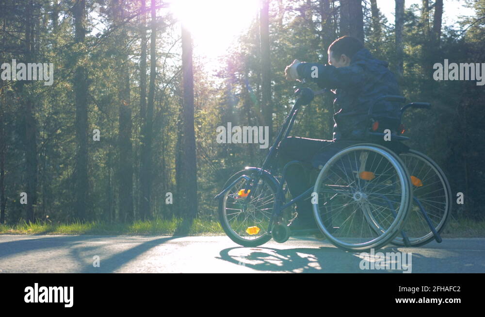 Forest physiotherapy Stock Videos & Footage HD and 4K Video Clips Alamy