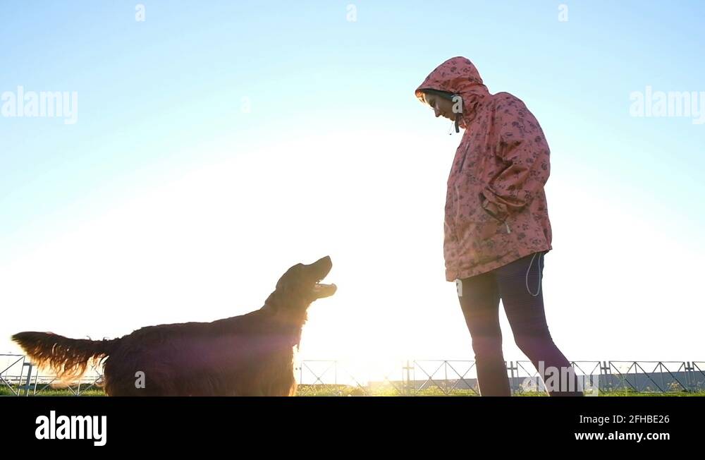 dog trainer certification dog trainer certification