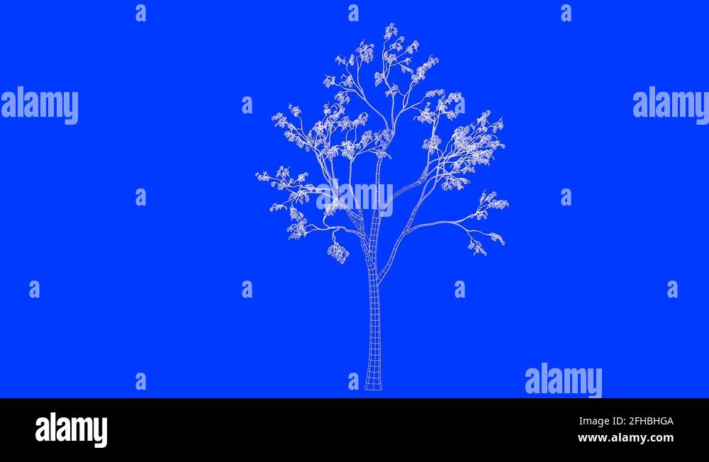 3d rendering of a loop tree animation as wireframe isolated Stock Video ...