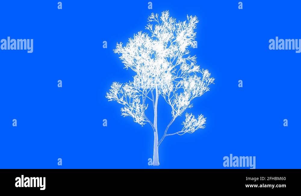 3d rendering of a loop tree animation as wireframe isolated Stock Video ...
