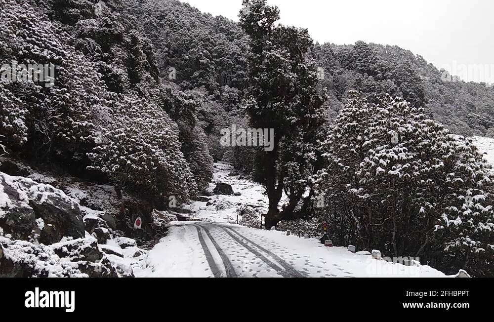 Chopta uttarakhand india Stock Videos & Footage - HD and 4K Video Clips ...