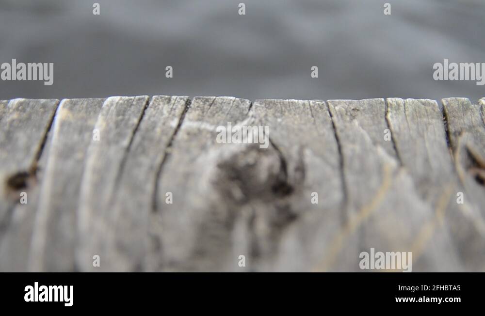 Wooden splinter Stock Videos & Footage HD and 4K Video Clips Alamy