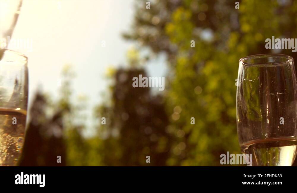 Toast toasting drinking restaurant Stock Videos & Footage HD and 4K