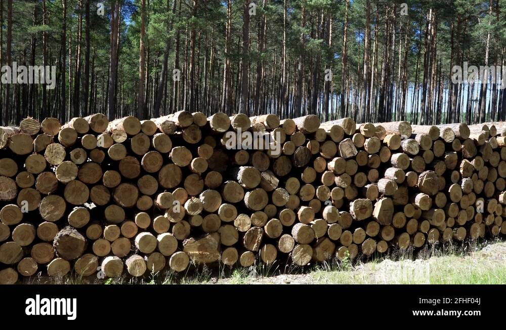 Timber in pile Stock Videos & Footage - HD and 4K Video Clips - Alamy