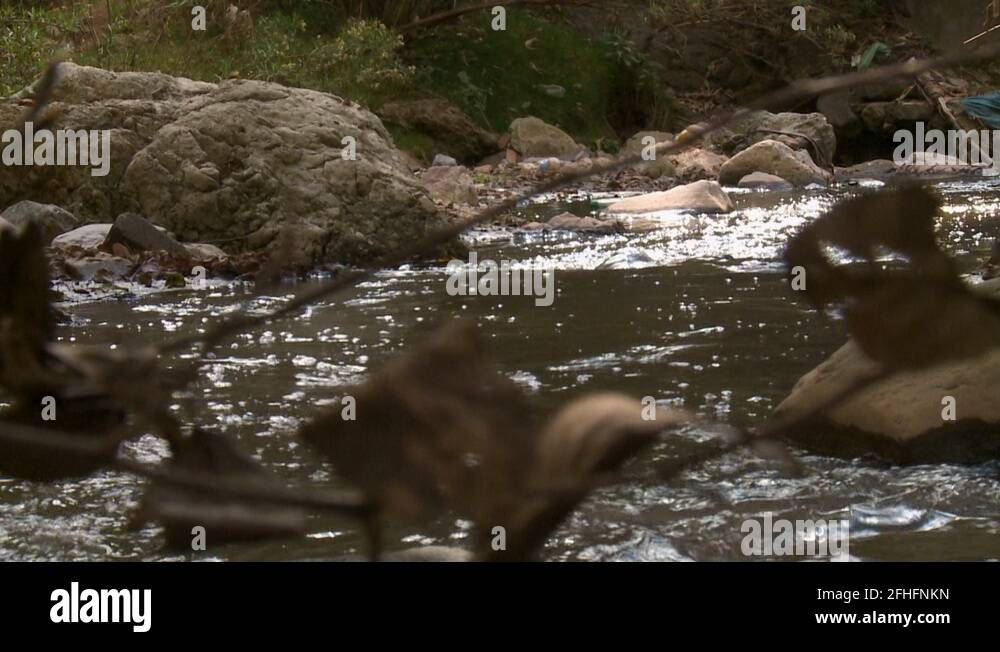Water pollution mexico Stock Videos & Footage HD and 4K Video Clips