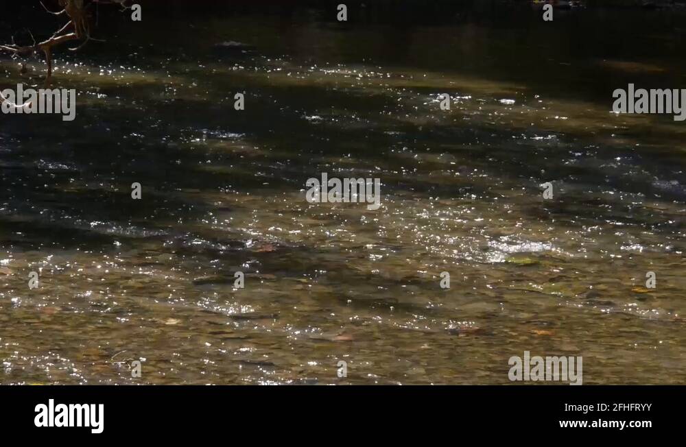 Columbus ohio scenic Stock Videos & Footage HD and 4K Video Clips Alamy