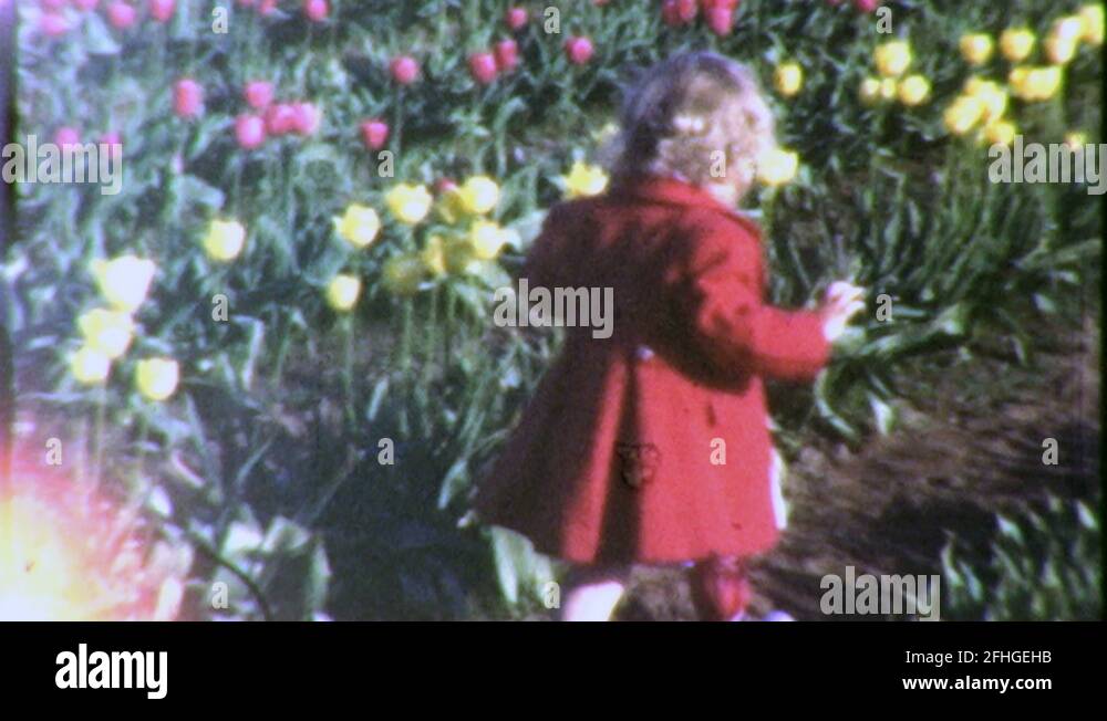 1960s Happy Little Girl Runs in Field of Tulip Flowers Vintage Film