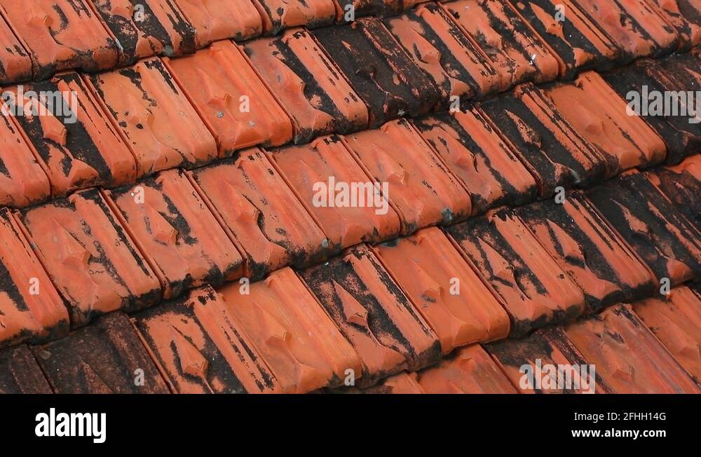 Baked clay tile Stock Videos & Footage HD and 4K Video Clips Alamy