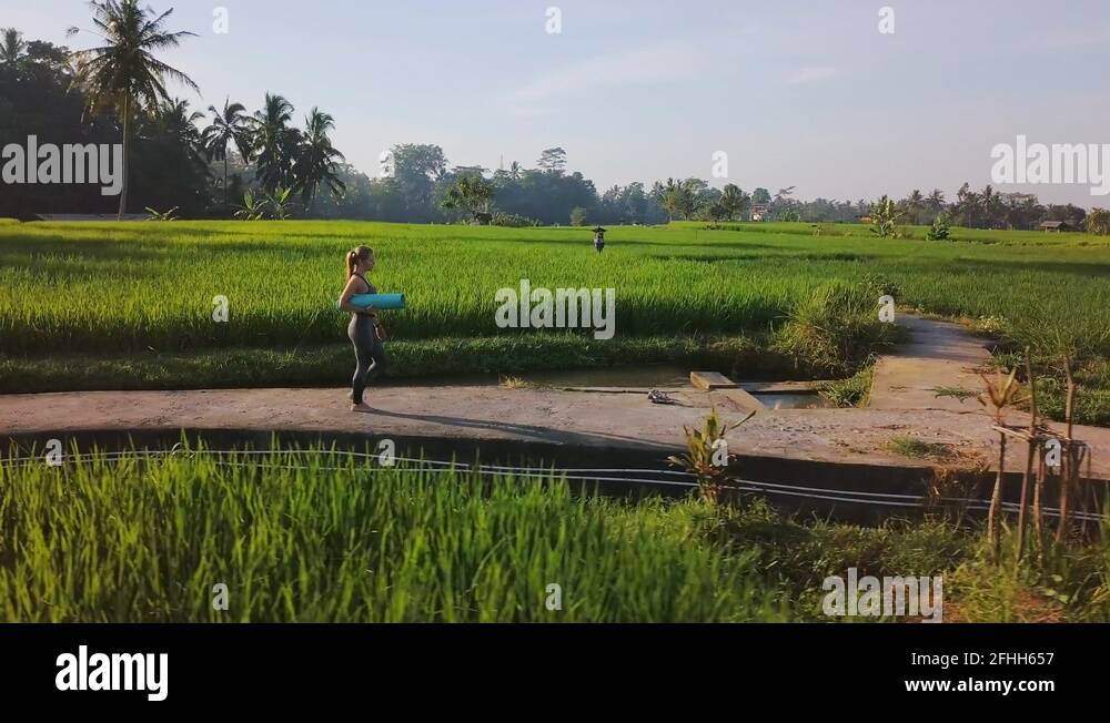 Walk in rice field Stock Videos & Footage - HD and 4K Video Clips - Alamy