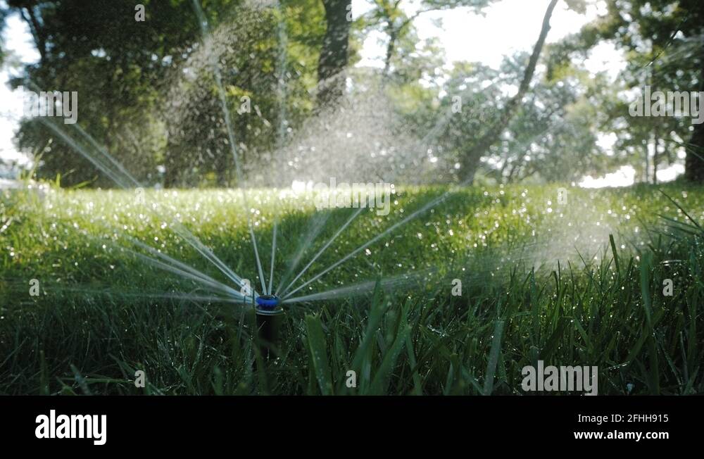 Garden gardening irrigation system Stock Videos & Footage HD and 4K