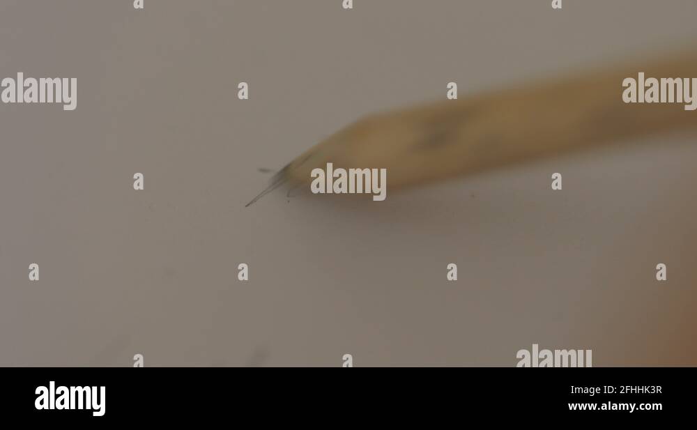 Pencil smudge texture Stock Videos & Footage - HD and 4K Video Clips ...