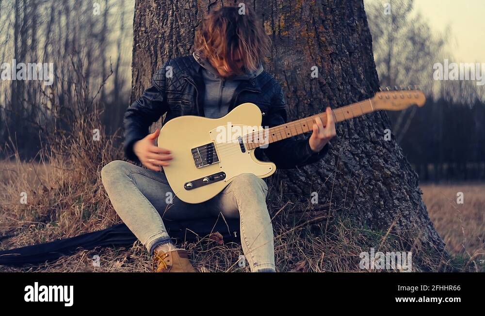 20 year old oak tree Stock Videos & Footage HD and 4K Video Clips Alamy