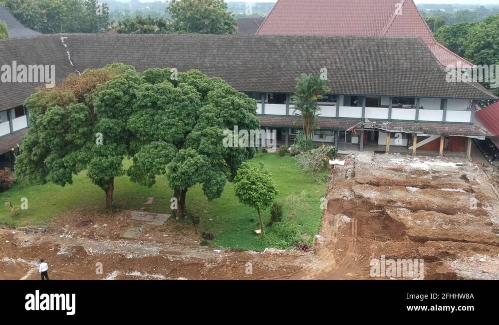 Java tree Stock Videos & Footage - HD and 4K Video Clips - Alamy