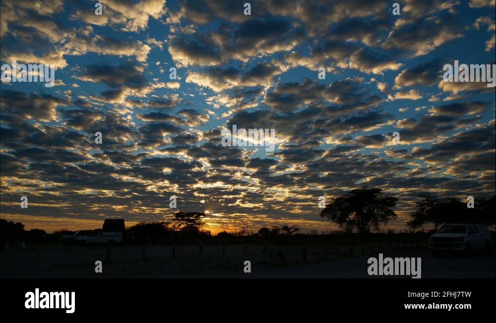 Namibian bushveld Stock Videos & Footage - HD and 4K Video Clips - Alamy