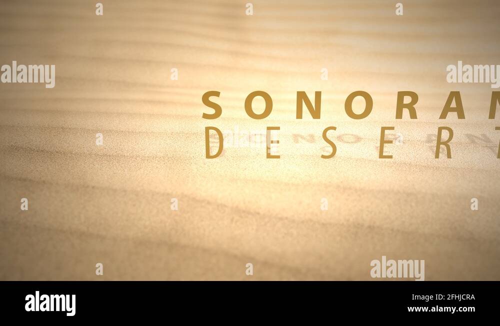 Sliding across warm animated Desert Dunes with text - Sonora Desert