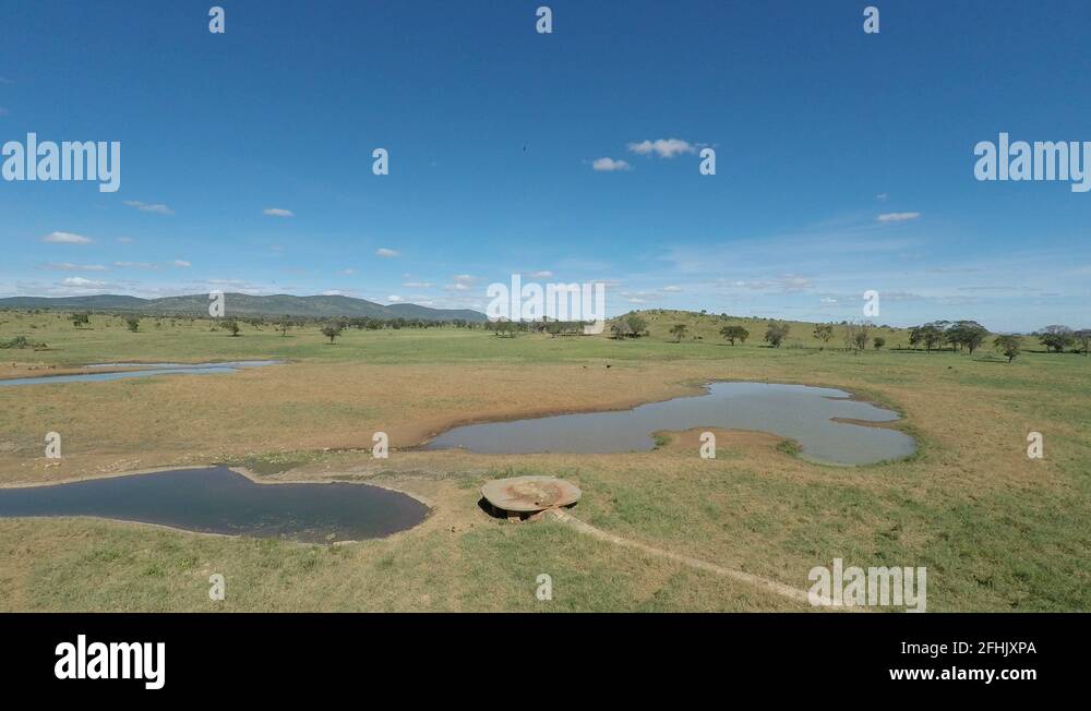 water hole in kenyas savanna in the afternoon Stock Video Footage Alamy