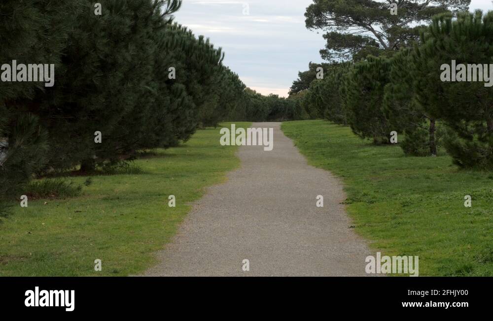Pathway gardens Stock Videos & Footage - HD and 4K Video Clips - Alamy