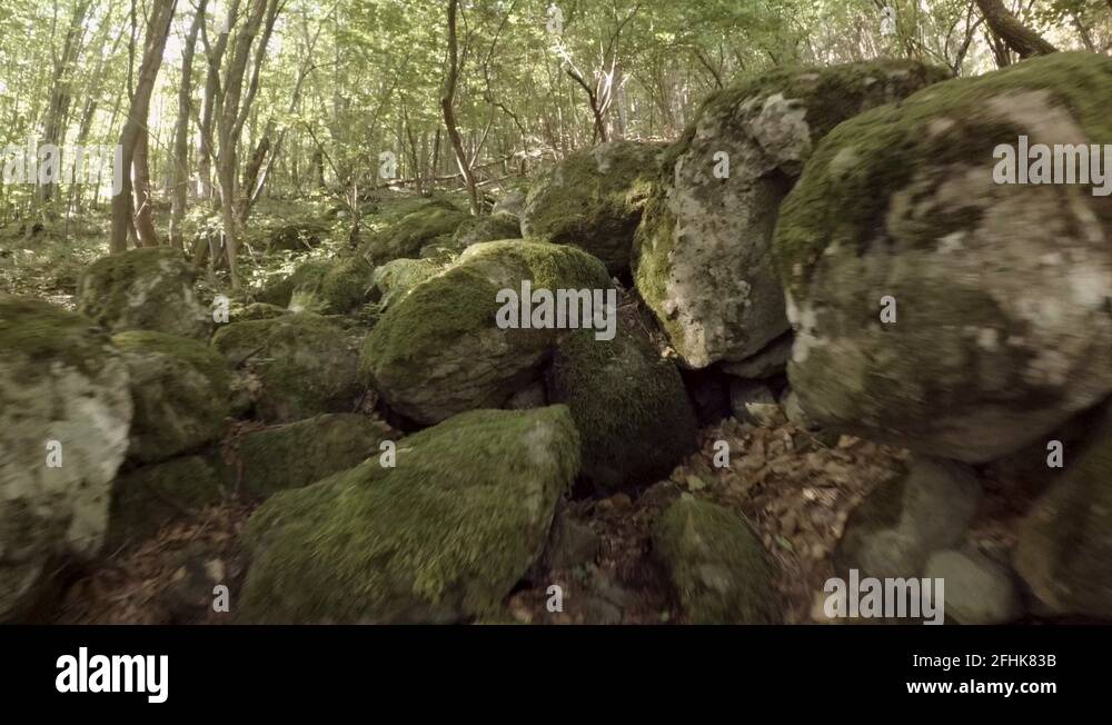 Mossy rock Stock Videos & Footage HD and 4K Video Clips Alamy