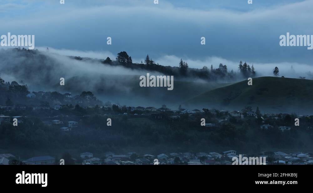 Nelson south island new zealand Stock Videos & Footage HD and 4K