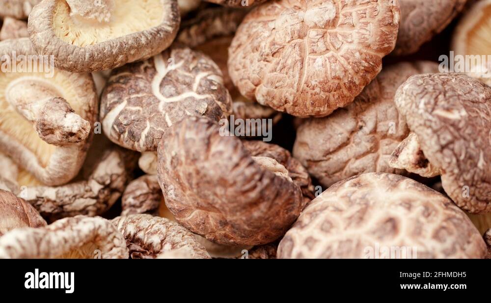 China cuisine fungi Stock Videos & Footage HD and 4K Video Clips Alamy