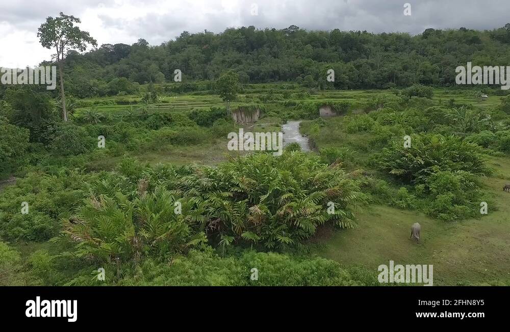 Bukittinggi: Pesona Alam dan Sejarah di Ranah Minang - Featured Image