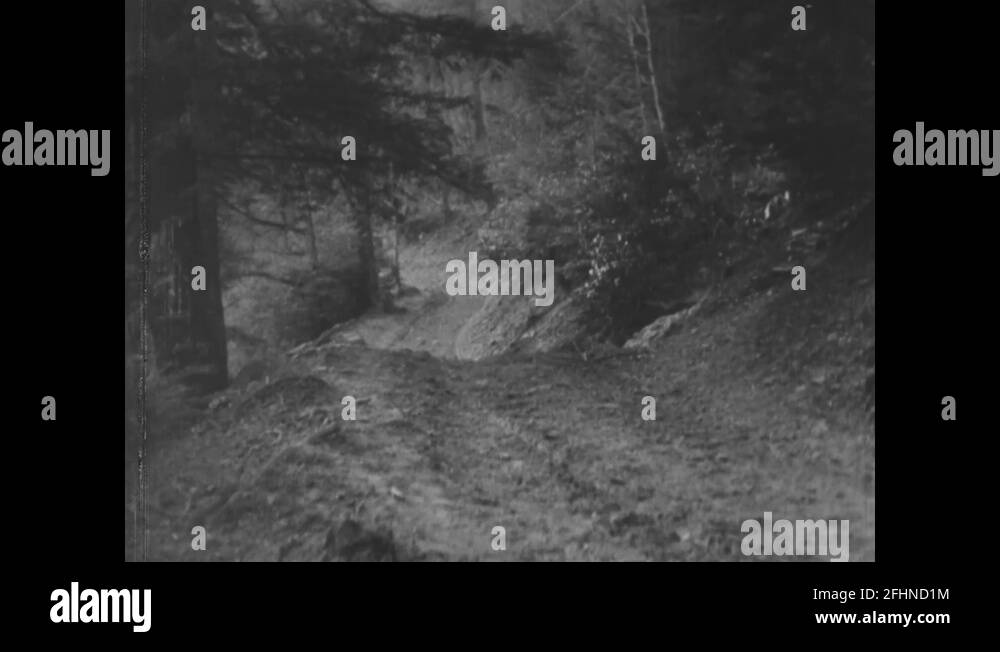 Volunteer Ride The Horse Through Forest 1930 Stock Video Footage Alamy
