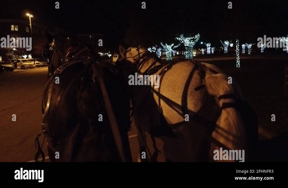 Horse drawn wagon winter Stock Videos & Footage HD and 4K Video Clips