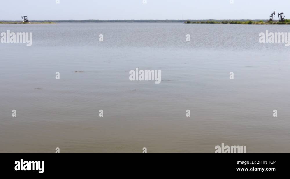Bait fish schooling in Lake Texoma. Predator fish attack them Stock