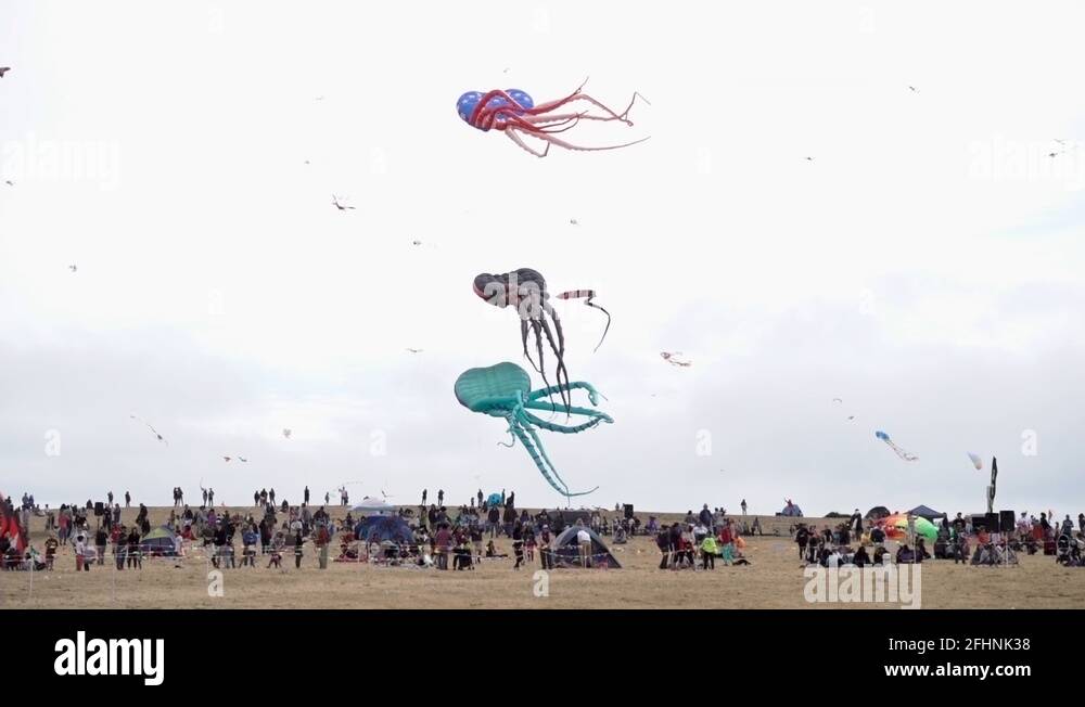 Giant octopus kites flying in the wind at the Berkeley Kite Festival