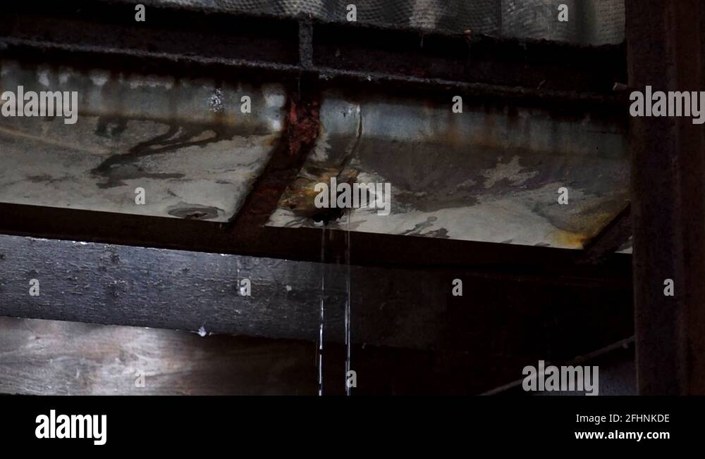 Water leak building Stock Videos & Footage HD and 4K Video Clips Alamy