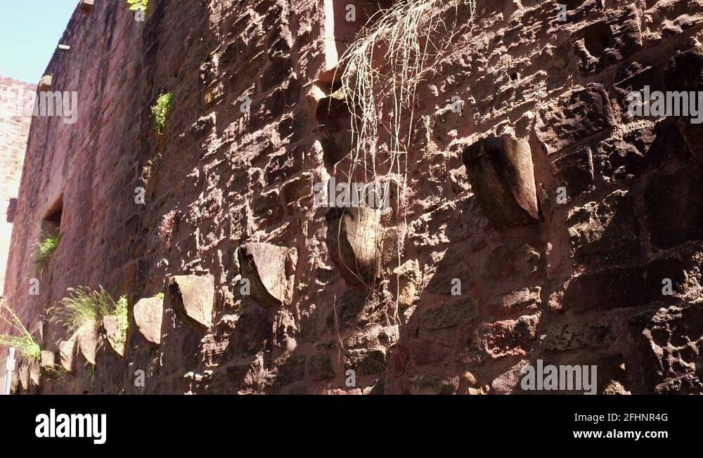 Observation window Stock Videos & Footage - HD and 4K Video Clips - Alamy