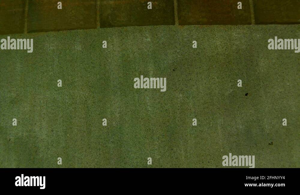 Dog under water Stock Videos & Footage HD and 4K Video Clips Alamy