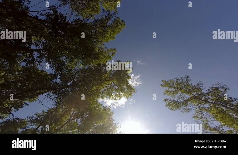 Ground blue sky path Stock Videos & Footage HD and 4K Video Clips Alamy