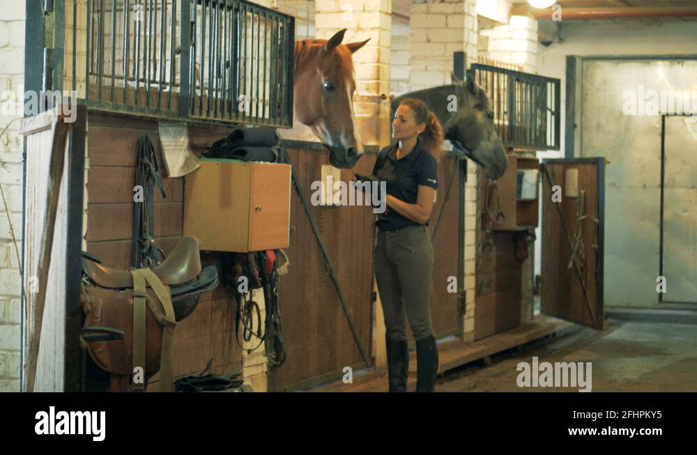 Equestrian horse stables Stock Videos & Footage - HD and 4K Video Clips ...