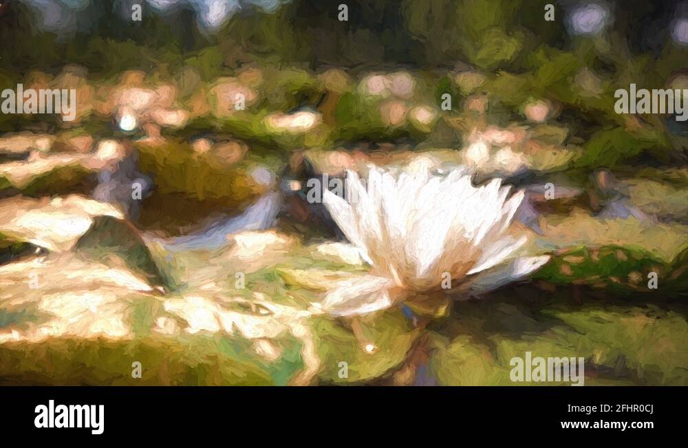 Monet water lily bridge Stock Videos & Footage - HD and 4K Video Clips