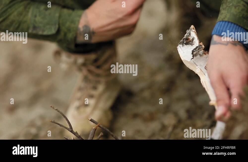 Hands tree bark Stock Videos & Footage HD and 4K Video Clips Alamy