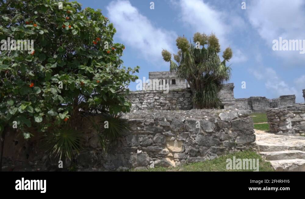 Civilizacion maya mexico Stock Videos & Footage - HD and 4K Video Clips ...