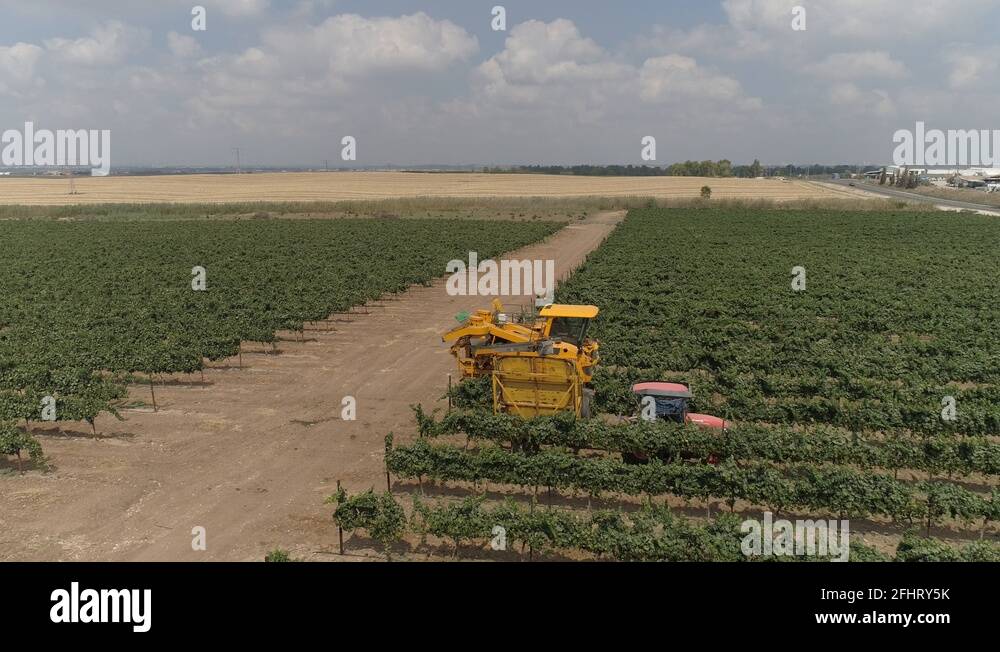 Mechanical harvest Stock Videos & Footage HD and 4K Video Clips Alamy
