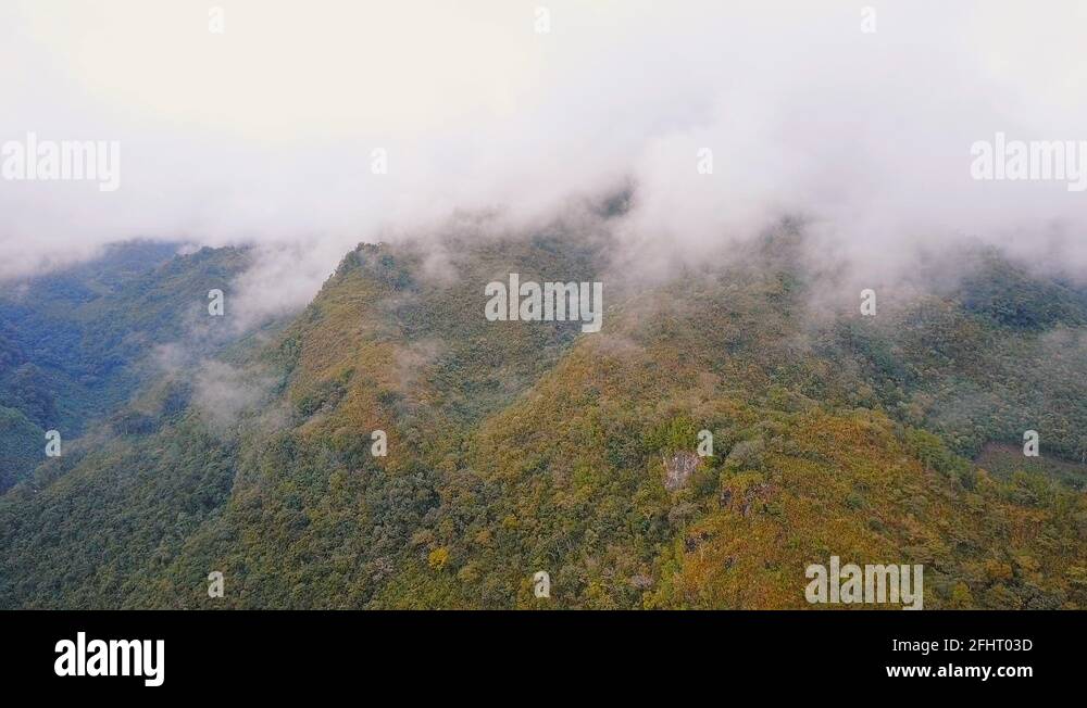 Rainforest guatemala aerial Stock Videos & Footage HD and 4K Video