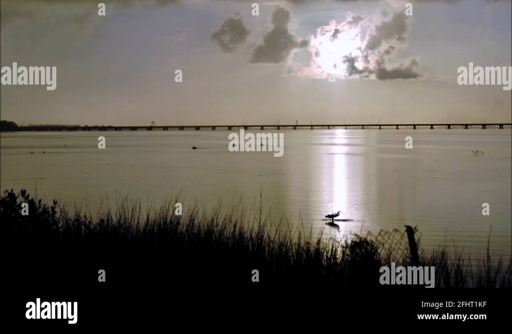 Courtney campbell Stock Videos & Footage HD and 4K Video Clips Alamy