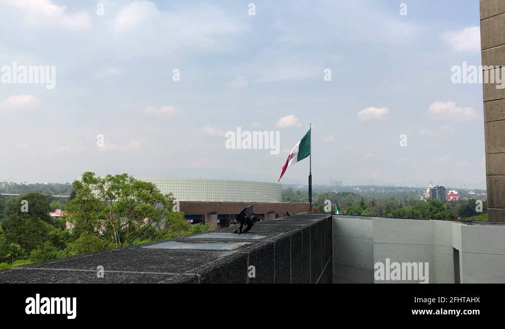 Mexican Emblem Stock Videos Footage HD And 4K Video Clips Alamy